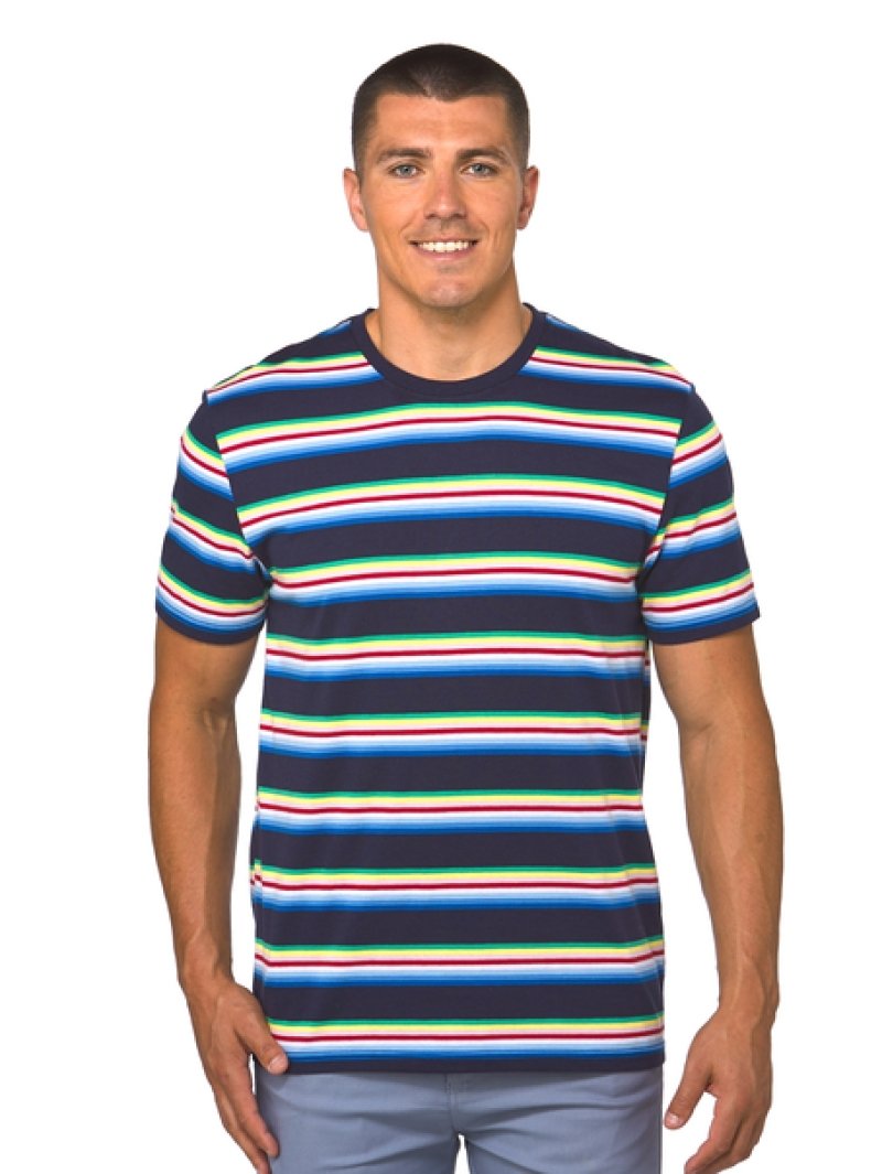 T-Shirts Lowes Navy Rainbow Stripe T-Shirt 4 T-Shirts Lowes Navy Rainbow Stripe T-Shirt - Image 2