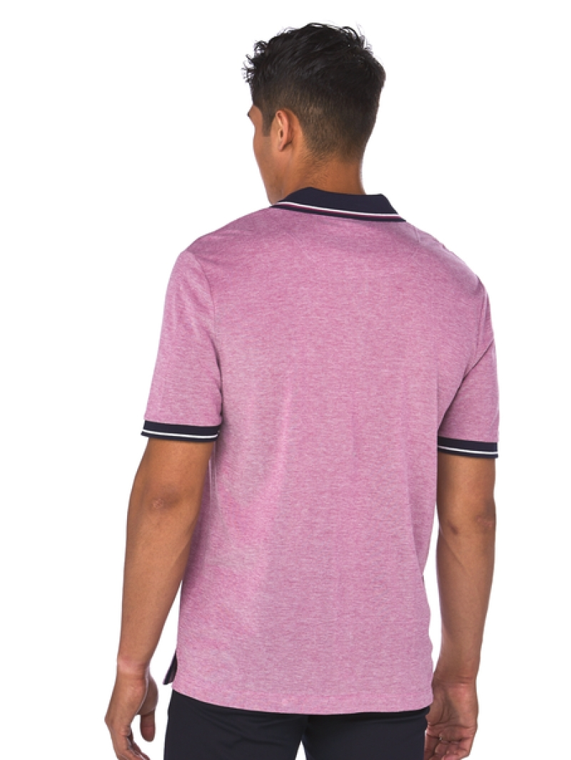 Polos Lowes Pink Cotton Rich Birdseye Polo 4 Polos Lowes Pink Cotton Rich Birdseye Polo - Image 2