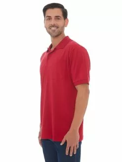 Polos Lowes Berry Cotton Rich Stretch Polo -Traders Country Sales 43130 2 new ivan